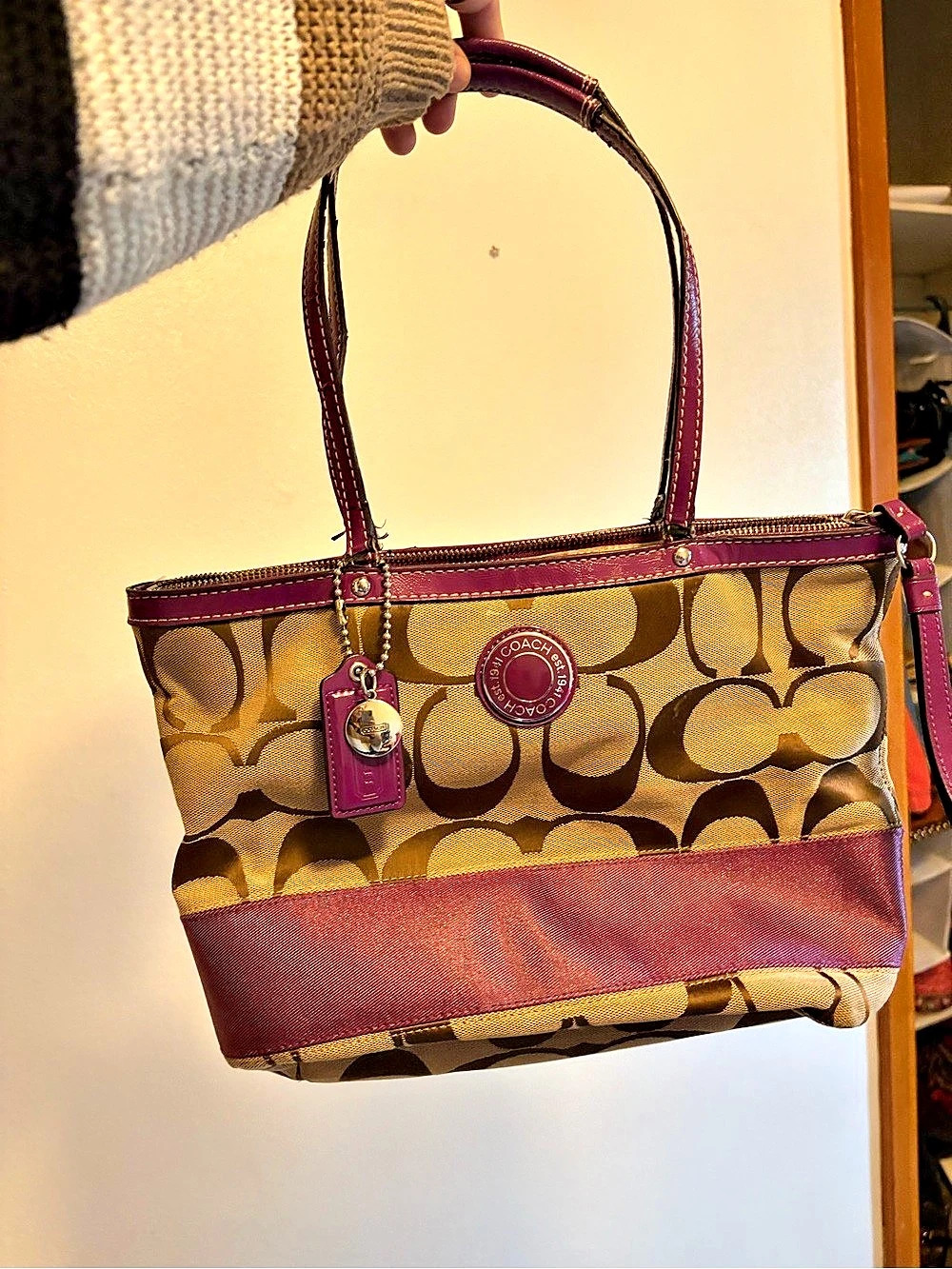 Coach Signature Stripe Tote F19046 Brown & Purple
